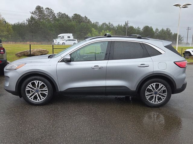 Used 2022 Silver Ford SEL image 4