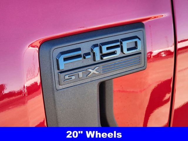 2025 Ford F-150 STX photo