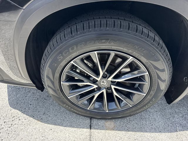 Used 2024 Lexus NX SUV