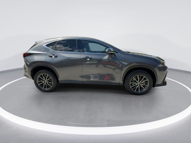 2024 Lexus NX - $38,898