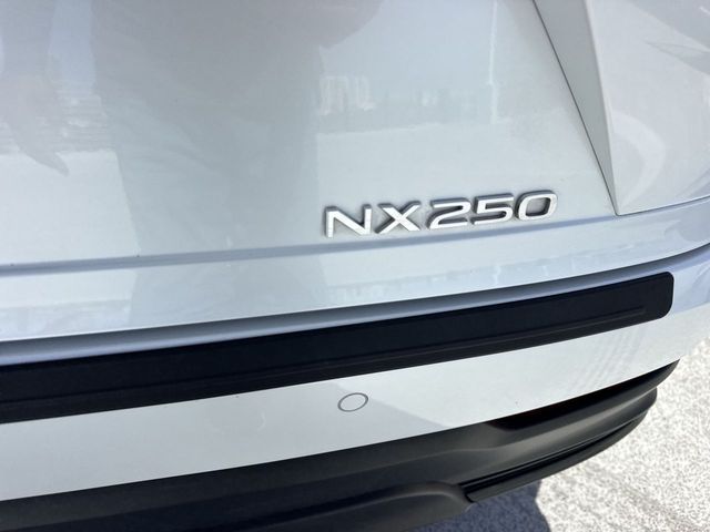 2025 Lexus NX - $38,788