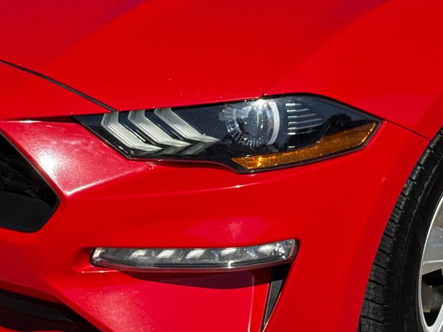 Used 2019 Ford Mustang Convertible