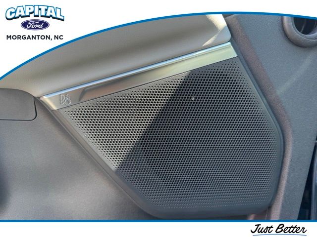 New 2027 Blue Ford Platinum image 24