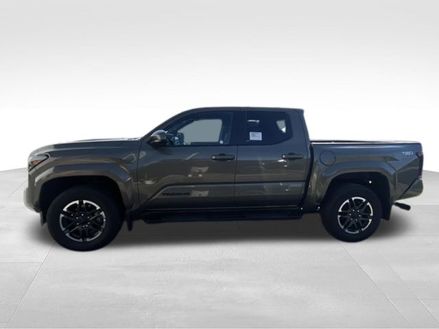 Used 2025 Toyota Tacoma Truck