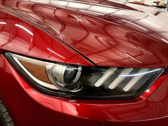 2017 Ford Mustang EcoBoost Red at Grove City Ford
