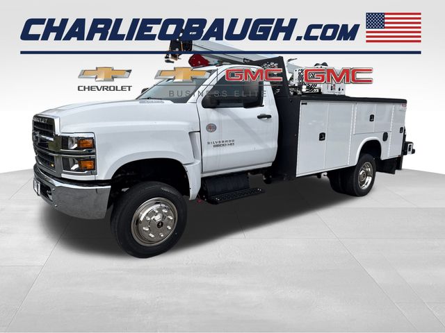 2024 Chevrolet Silverado 4500 Medium Duty Chassis Cab Work Truck's photo