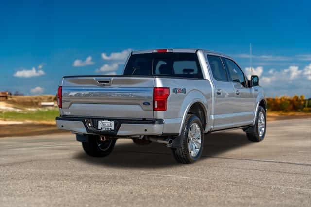 2019 Ford F-150 Platinum 7