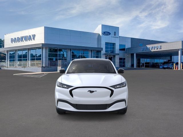 New 2026 White Ford Premium image 6