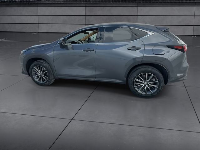 Used 2025 Lexus NX SUV