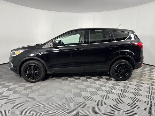 Used 2019 Ford Escape For Sale in Indianapolis, IN