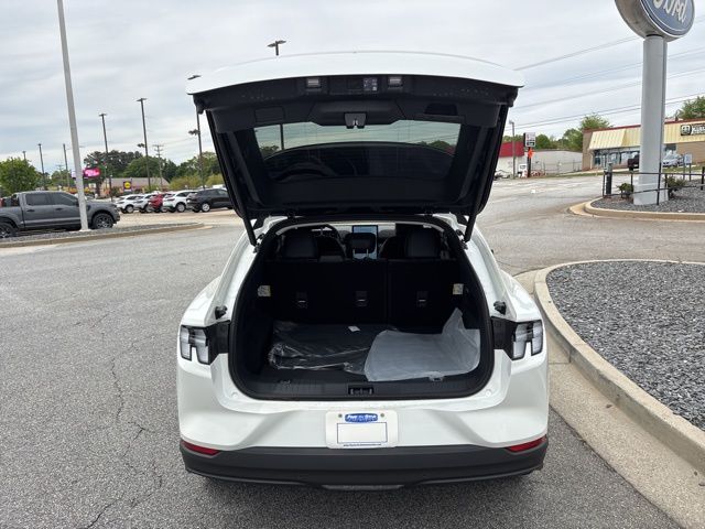 New 2026 White Ford Premium image 30