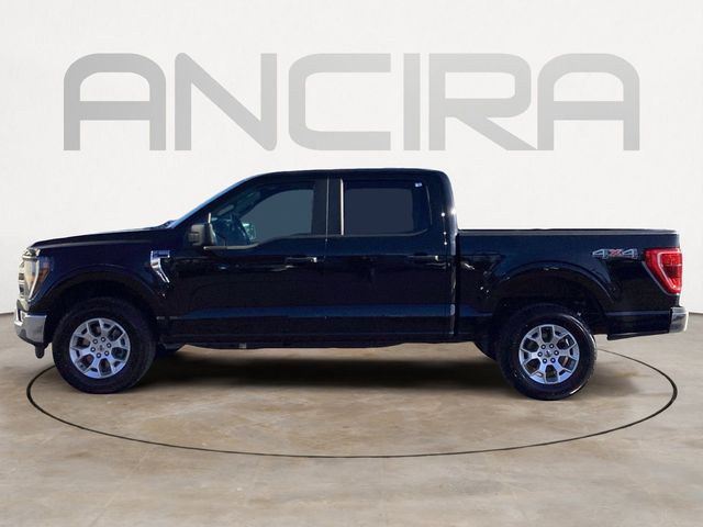 Used Car 2023 Ford F-150  Xlt For Sale Under $30,000 In San Antonio, Texas
