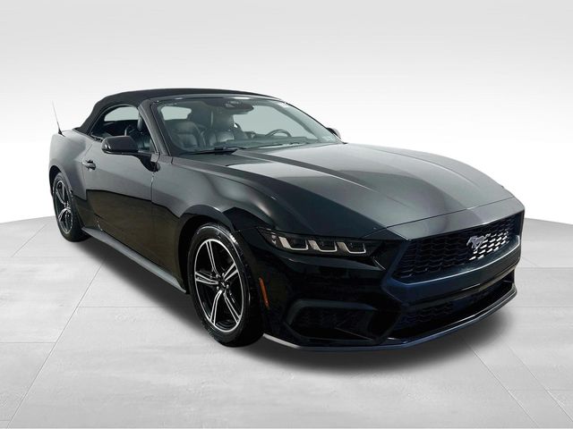 Shadow Black 2025 Ford Mustang Convertible Rear-Wheel Drive Automatic