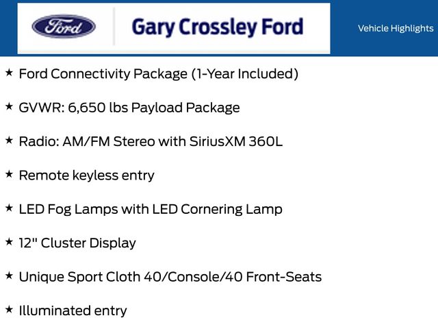 New 2026 Gray Ford STX image 12