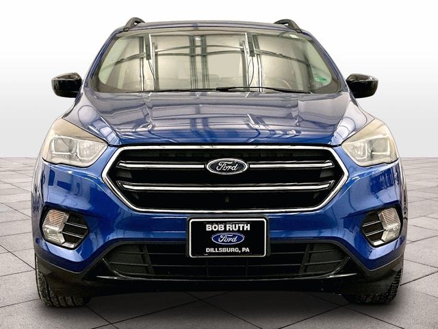 2019 Ford Escape SE Blue at Rochrich Mazda