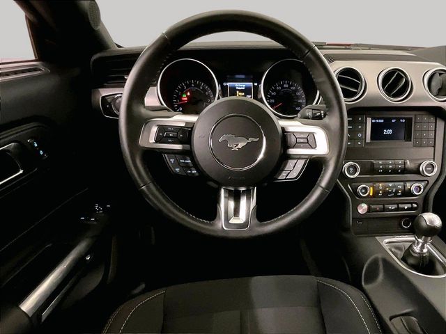2019 Ford Mustang GT Red at Grove City Ford