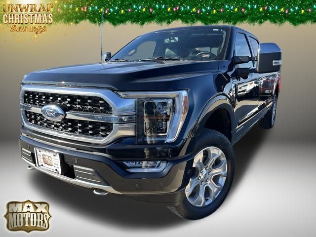 2023 Ford F-150 Platinum 3