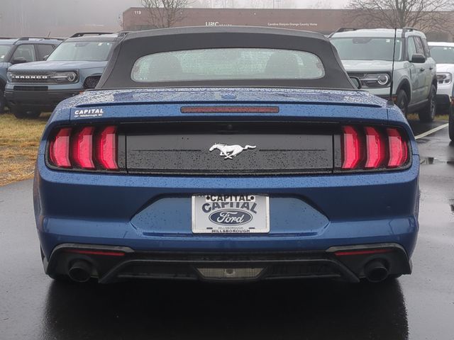 Used 2022 Blue Ford EcoBoost Premium image 12