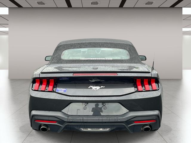 Used 2024 Gray Ford EcoBoost Premium image 4