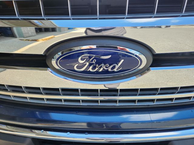 Used 2019 Ford F-150 Truck