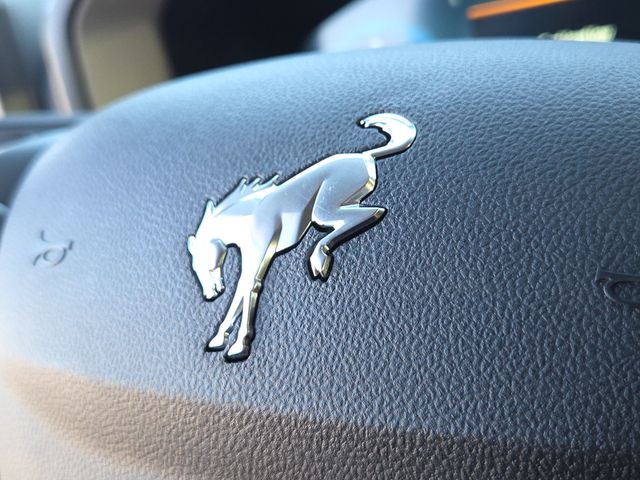 New 2025 Gray Ford Big Bend image 23