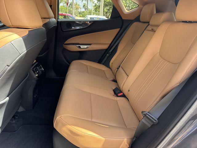 2023 Lexus NX - $41,898
