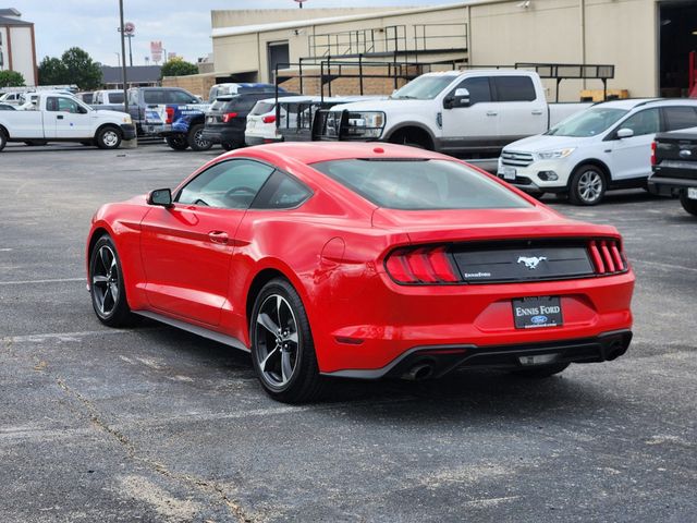 2019 Ford Mustang EcoBoost 5