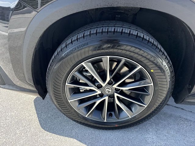 2024 Lexus NX - $36,988