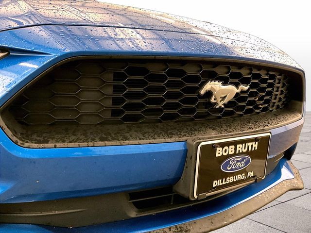 2020 Ford Mustang EcoBoost Blue at Bob Ruth Ford