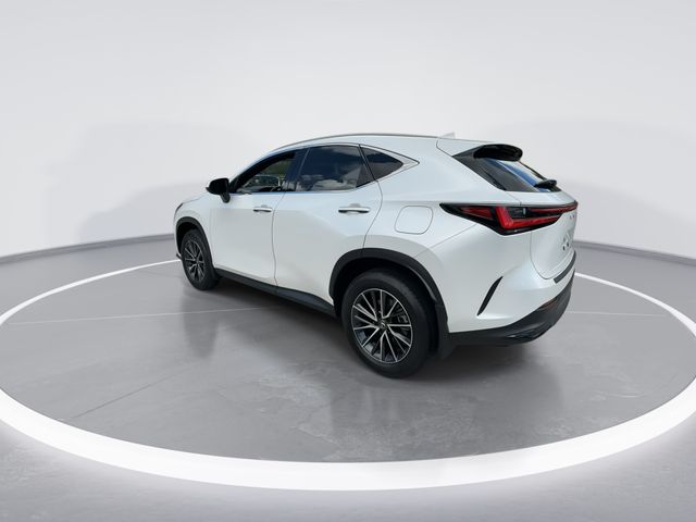 2024 Lexus NX - $40,998