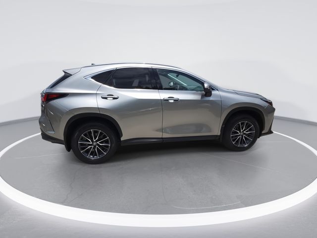 Used 2025 Lexus NX 250 Premium in Hollywood FL | 2T2GDCAZ1SC017217