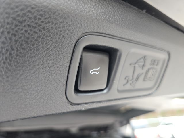 2021 Ford Expedition Limited:167621B