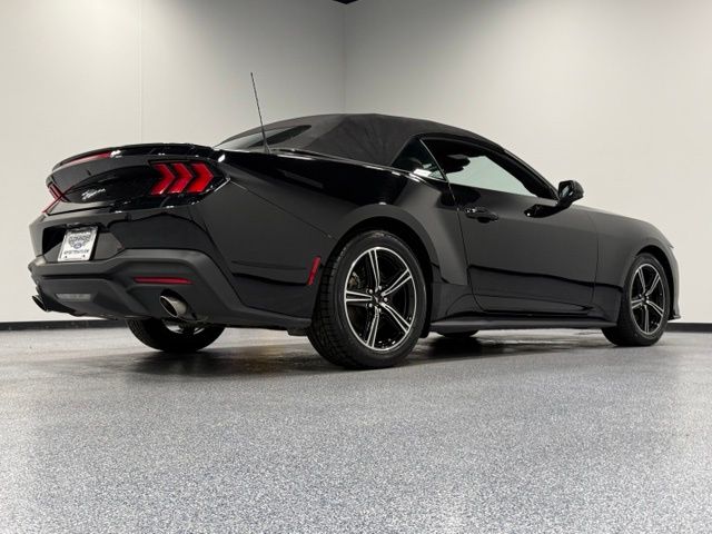 Used 2024 Black Ford EcoBoost Premium image 11