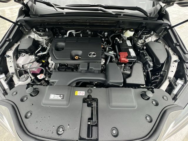 2025 Lexus NX - $41,998