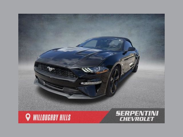 Shadow Black 2019 Ford Mustang Convertible Rear-Wheel Drive Automatic