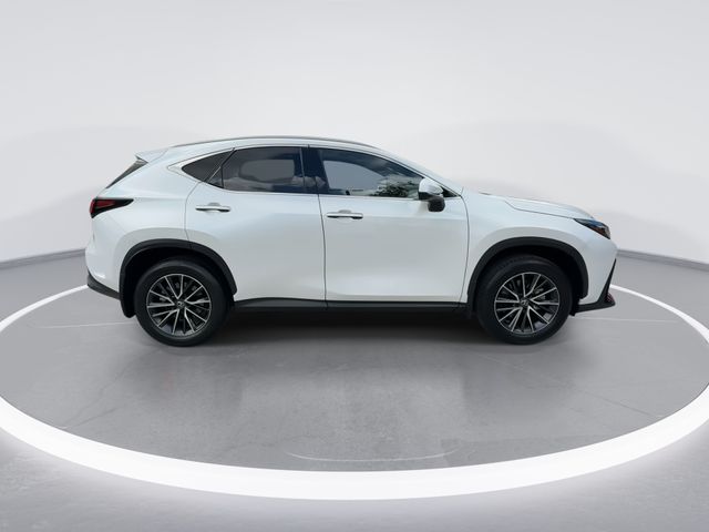 2024 Lexus NX - $40,998