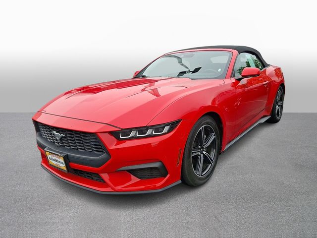2024 Ford Mustang's photo