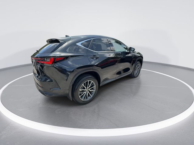 Used 2025 Lexus NX SUV
