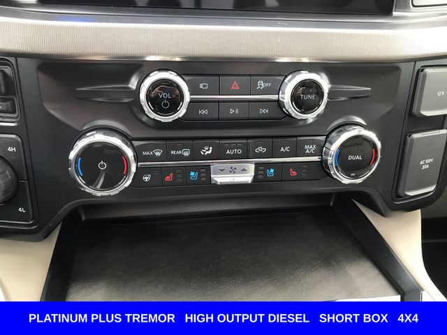 New 2026 Gray Ford Platinum image 22