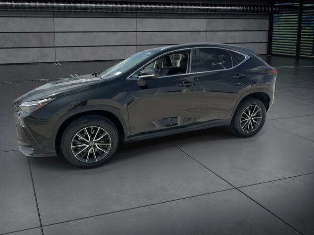 2024 Lexus NX - $37,588