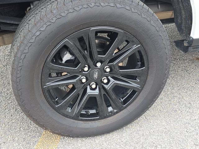 2024 Ford F-150 Platinum:167270A