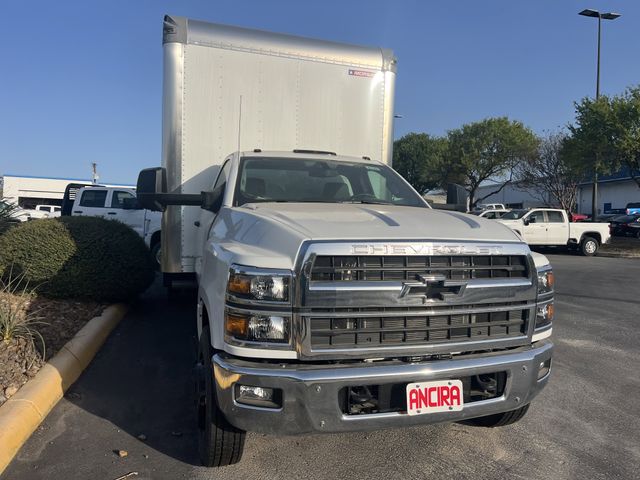 New Car 2024 Chevrolet Silverado 1500  Work Truck For Sale Under $80,000 In San Antonio, Texas