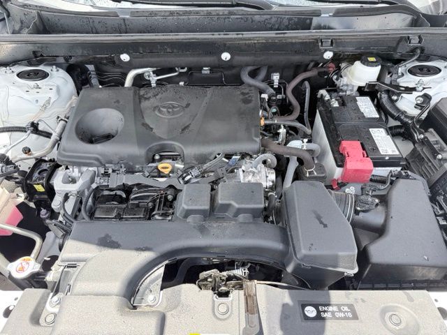2024 Toyota RAV4 LE White at Brown Honda