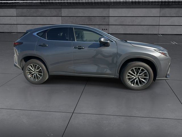 2024 Lexus NX - $40,588