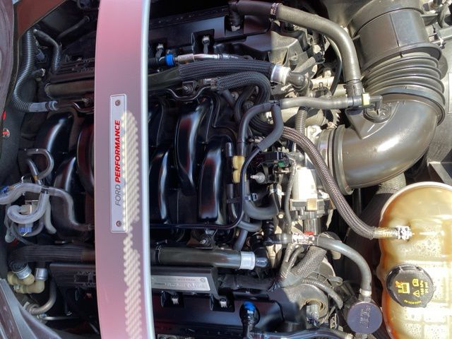 Used Car 2017 Ford Mustang  Shelby Gt350 For Sale Under $60,000 In San Antonio, Texas