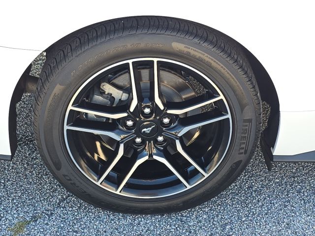 Photo of 2023 Ford Mustang GT in Dallas, GA - 10,  2023 Ford Mustang GT:167169A