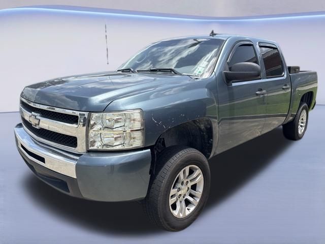 2010 Chevrolet Silverado 1500 LS