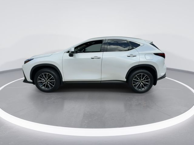 2024 Lexus NX - $40,998