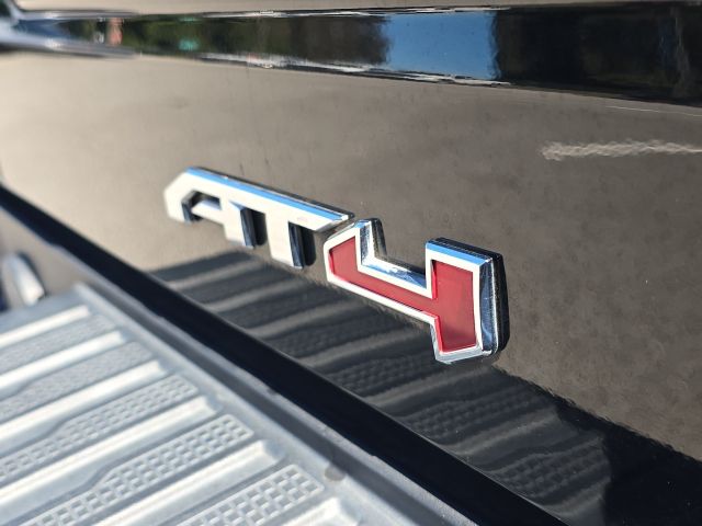 Photo of 2020 GMC Sierra 1500 AT4 in Dallas, GA - 10,  2020 GMC Sierra 1500 AT4:43906A