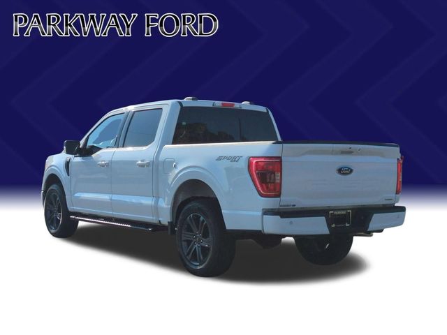 Used 2023 White Ford XLT image 3